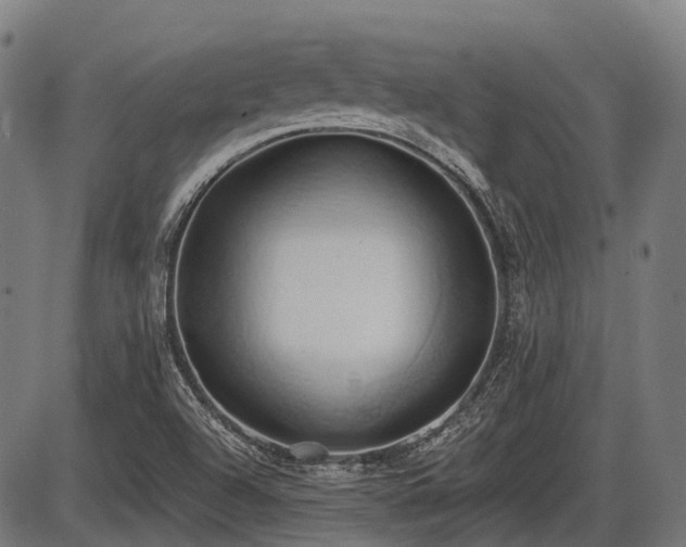 X0000087531504200704271154