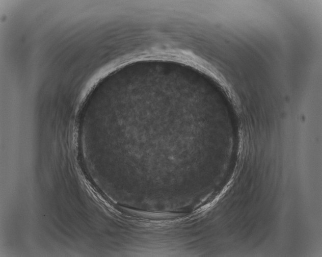 X0000087531506200704271154