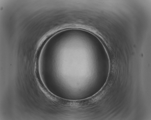 X0000087531511200704271154