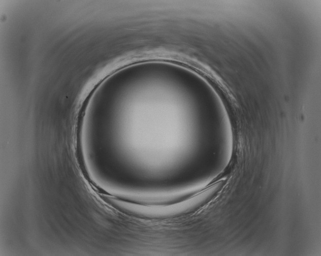 X0000087531512200704271154
