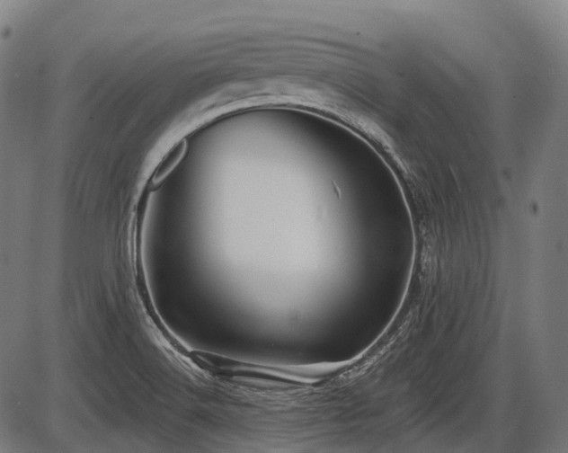 X0000087531516200704271154