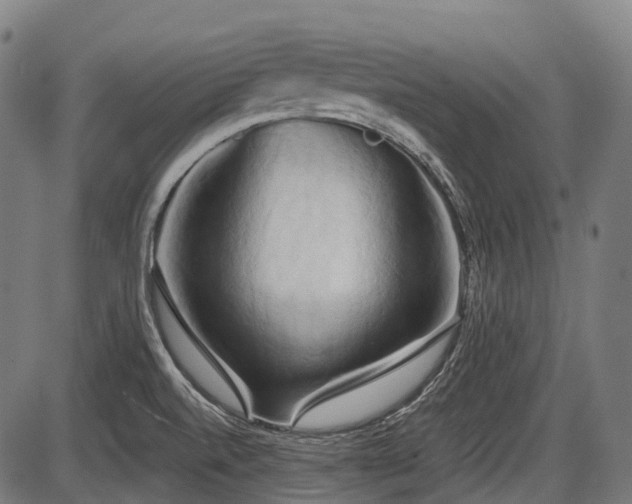 X0000087531520200704271154