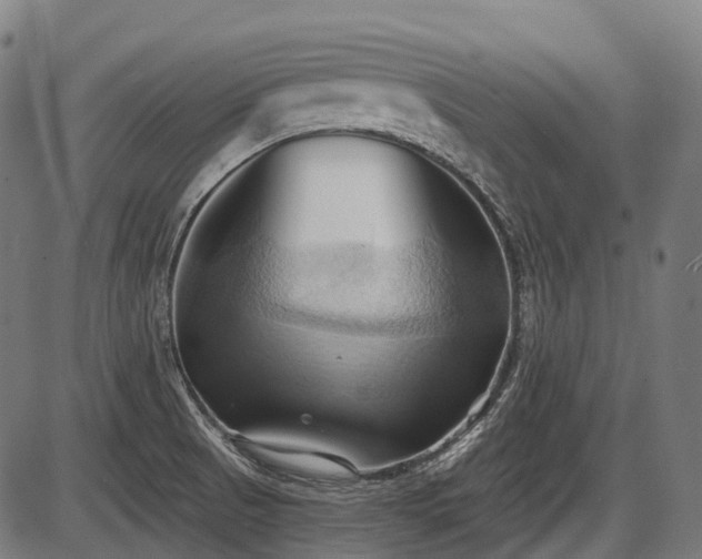 X0000087531521200704271154