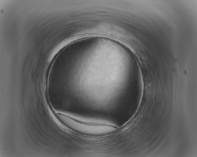 X0000087531523200704271154