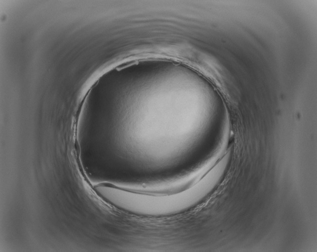 X0000087531524200704271154