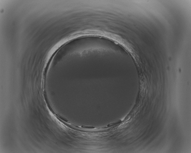 X0000087531527200704271154
