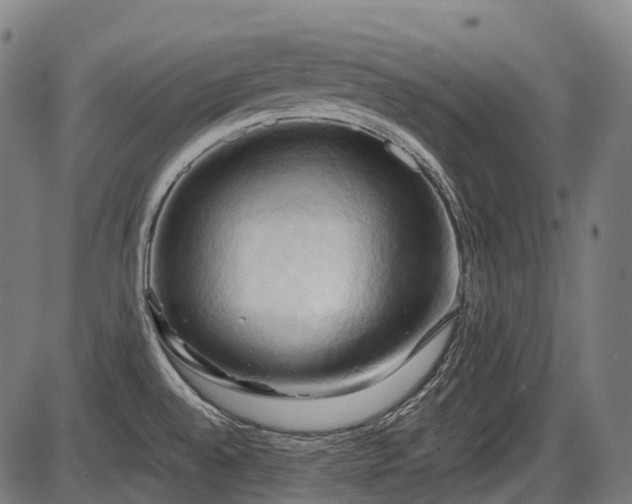 X0000087531528200704271154