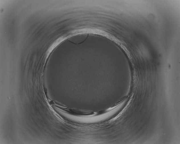 X0000087531529200704271154