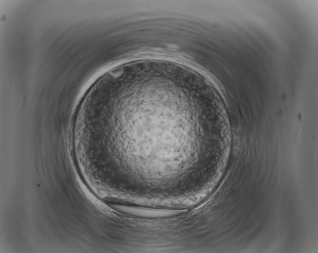 X0000087531531200704271154