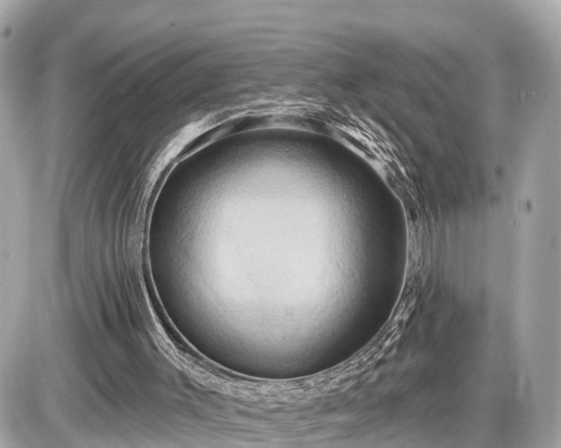 X0000087530003200705041249