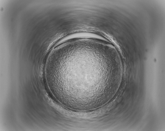 X0000087530010200705041249