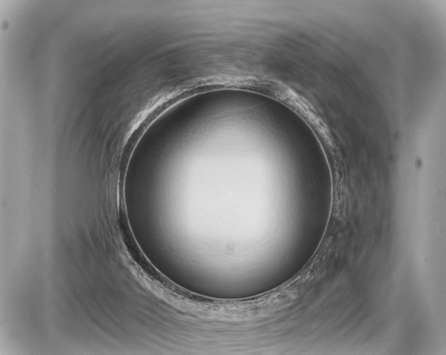 X0000087530011200705041249