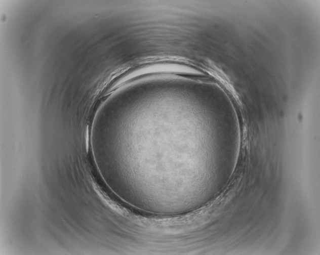 X0000087530013200705041249