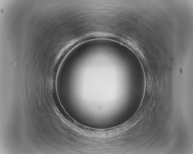 X0000087530015200705041249