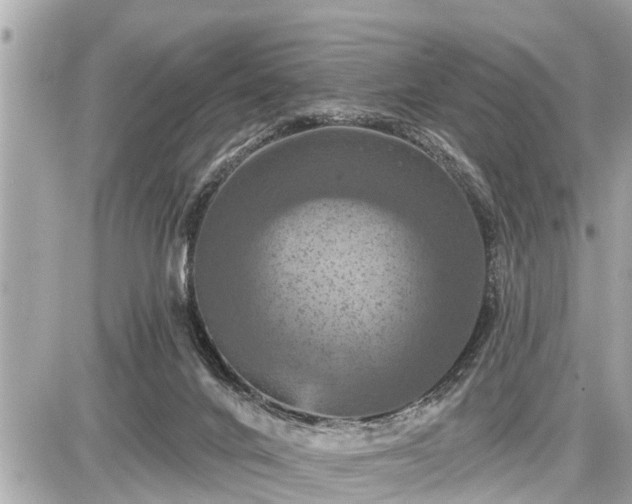 X0000087530024200705041249