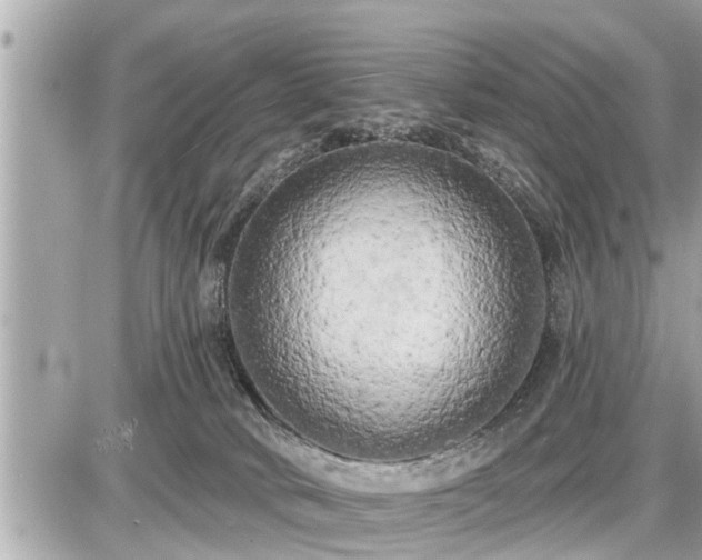 X0000087530034200705041249