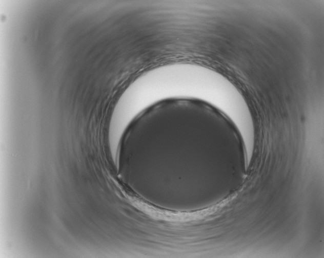 X0000087530039200705041249
