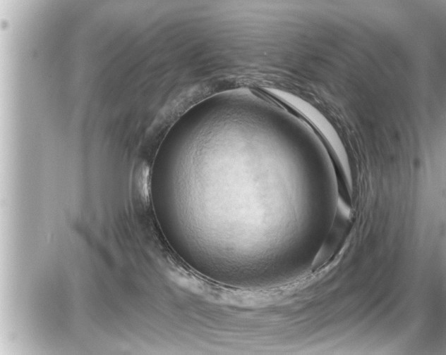 X0000087530041200705041249