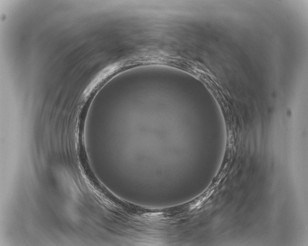 X0000087530054200705041248