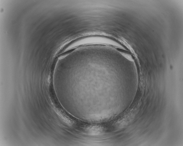 X0000087530063200705041248