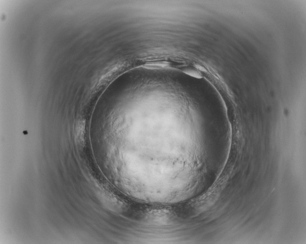 X0000087530066200705041248