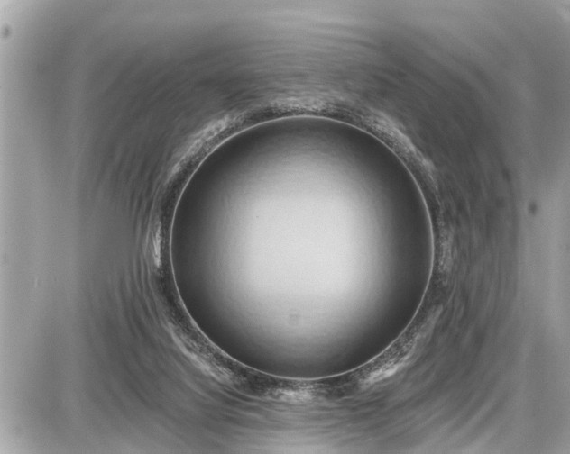 X0000087530068200705041248