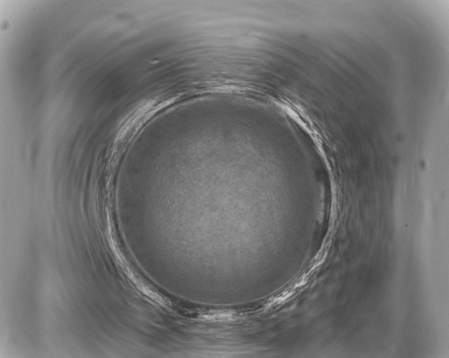 X0000087530097200705041248