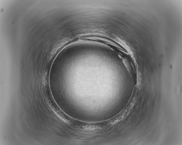 X0000087530105200705041248