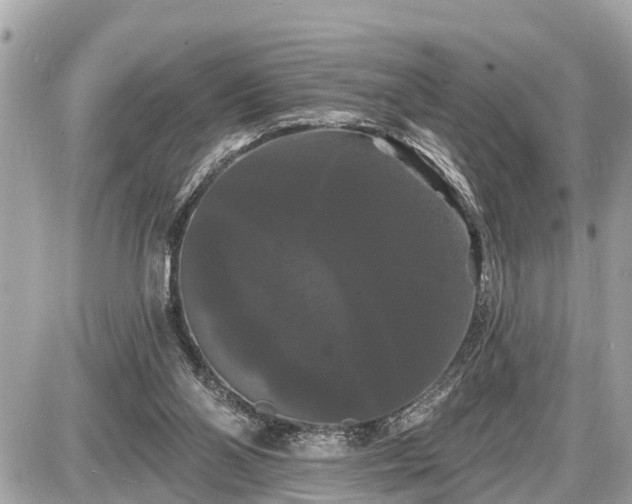 X0000087530110200705041247