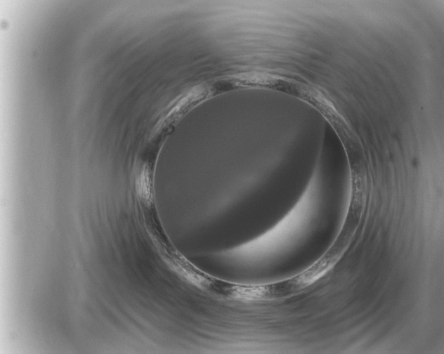 X0000087530143200705041247