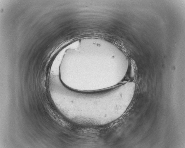 X0000087530146200705041246