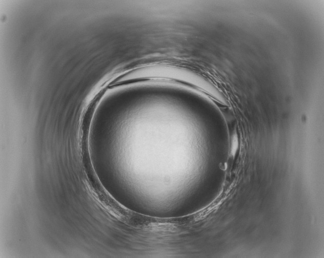X0000087530150200705041246