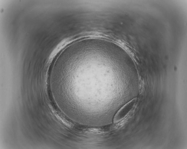 X0000087530151200705041246