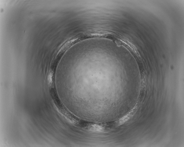X0000087530166200705041246
