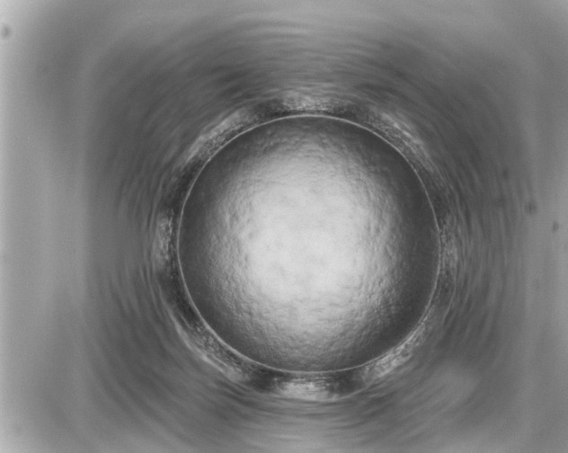 X0000087530171200705041247