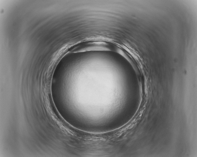 X0000087530193200705041246