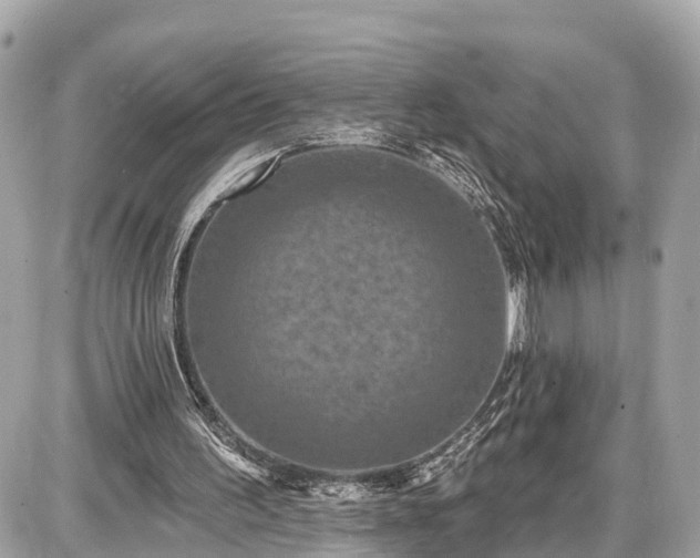 X0000087530195200705041246