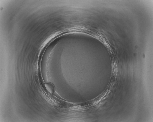 X0000087530196200705041246