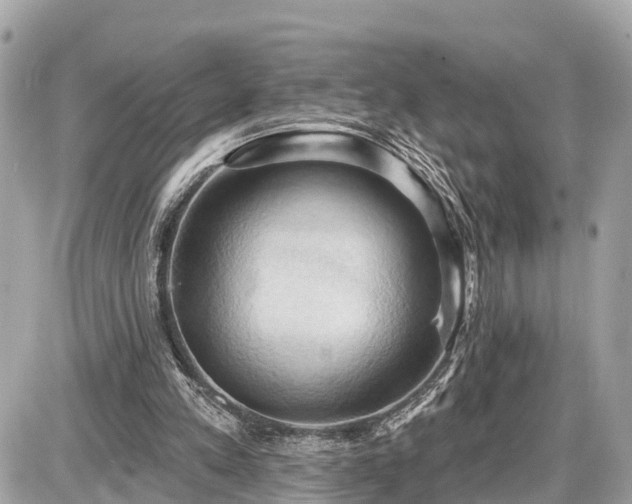 X0000087530197200705041246