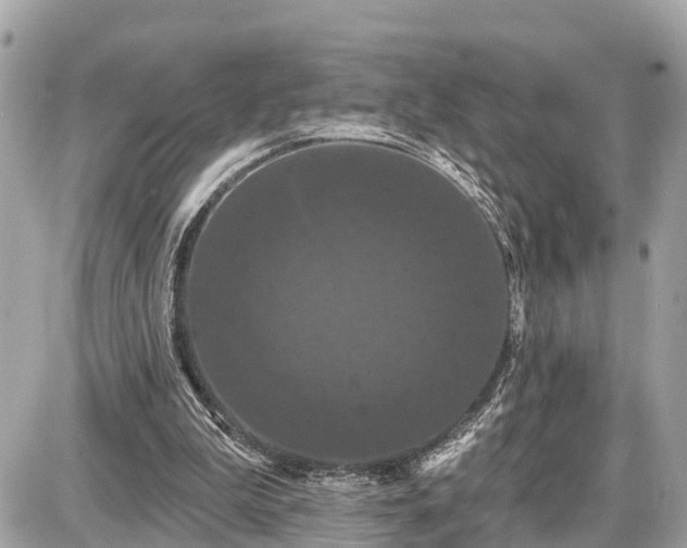 X0000087530199200705041246