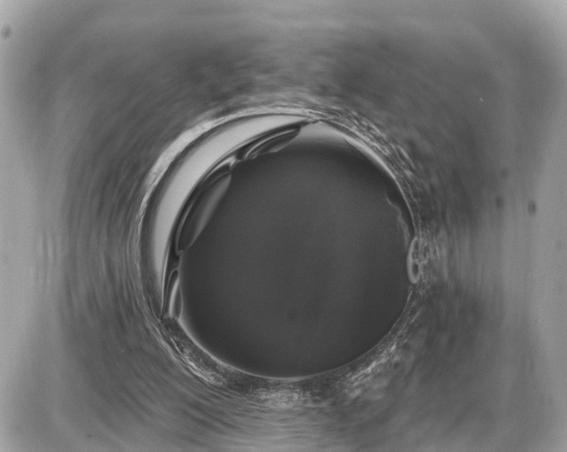 X0000087530200200705041246