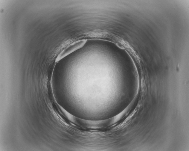 X0000087530201200705041246