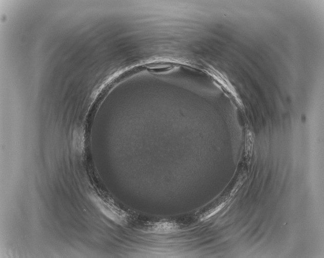 X0000087530204200705041246