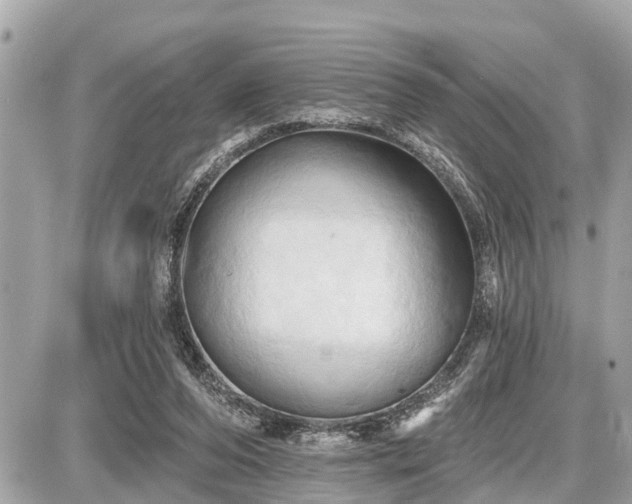 X0000087530208200705041246