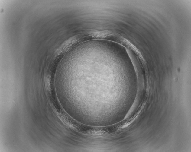 X0000087530209200705041246