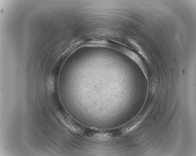 X0000087530213200705041246