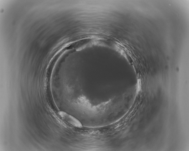 X0000087530243200705041245
