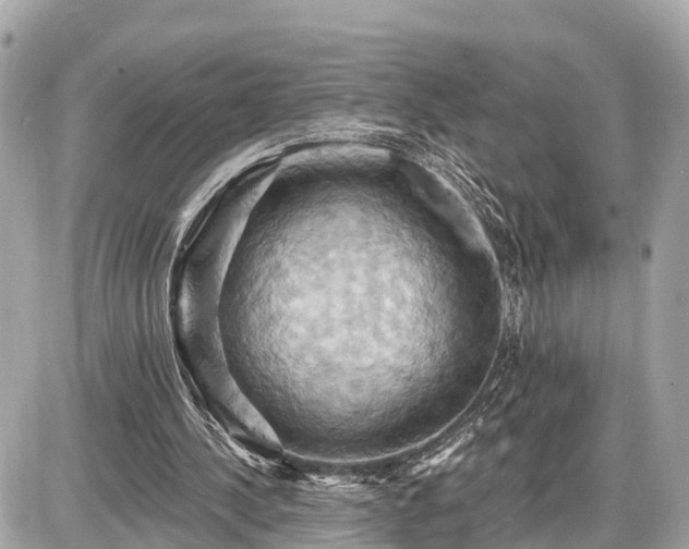 X0000087530244200705041245