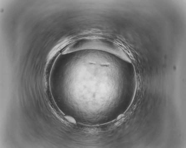 X0000087530245200705041245