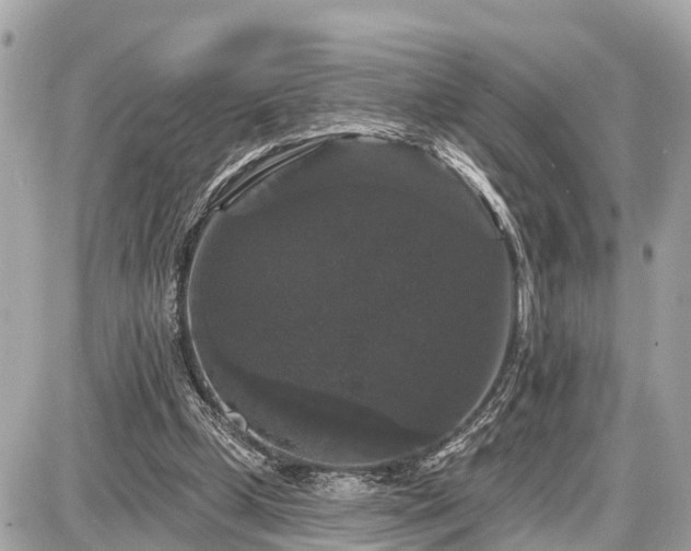 X0000087530249200705041245